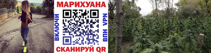 Бошки Шишки планчик кракен tor Еманжелинск